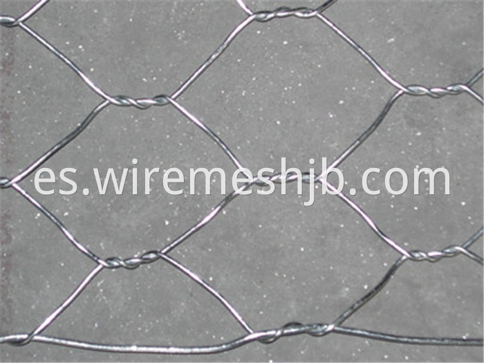 Hexagonal Decorative Mesh